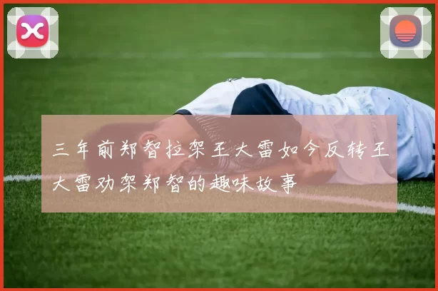 三年前郑智拉架王大雷如今反转王大雷劝架郑智的趣味故事