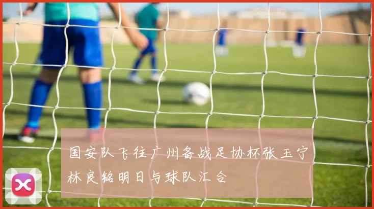 国安队飞往广州备战足协杯张玉宁林良铭明日与球队汇合